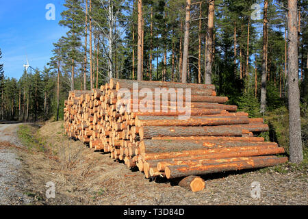 Pine logs stacked by forest road waiting for transport with a wind turbine against blue sky on the background. Stock Photo
