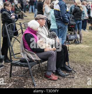 A couple of elderly people sitting on a bench in the park. They hold cute little dogs in their arms and there are people around them. Stock Photo