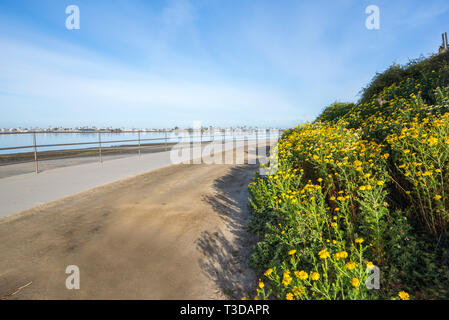 Mission Bay Park. San Diego, California, USA. Stock Photo