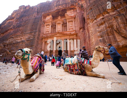 Camels wait for tourist customers at The Treasury (Al Khazneh), at Petra, Jordan, UNESCO World Heritage Site Stock Photo