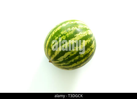 juicy whole watermelon on a light background Stock Photo