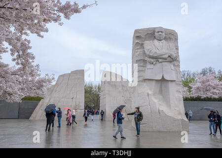 View of the Martin Luther King, Jr. Memorial  with the cherry blossoms in full bloom on a rainy afternoon in Washington, DC. Stock Photo