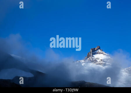 Little Tahoma Peak sticks out about the morning fog. Looking up from the Summerland Campground along the Wonderland Trail of Mount Rainier National Pa Stock Photo