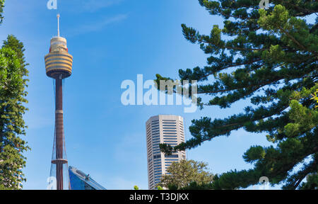 Sydney skyline as seen from Hyde Park on a sunny day, Australia. Stock Photo