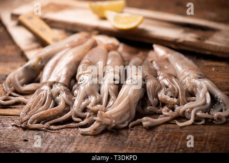 Fresh squid  for sale on the market Stock Photo
