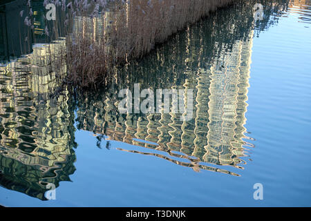 Abstract reflection of Barbican Estate flats apartment building in a pool of water by the Beech Gardens in the City of London UK    KATHY DEWITT