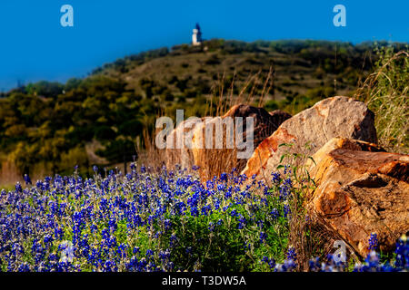 Scenic Texas hill country with blue bonnets Stock Photo