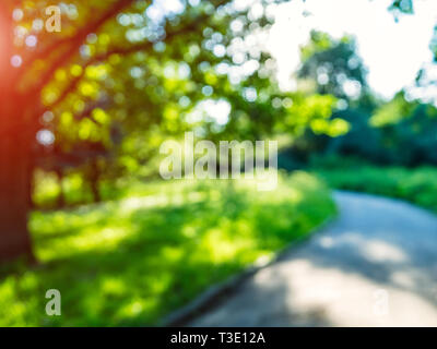 Macro background green park. Blur bokeh nature Stock Photo - Alamy