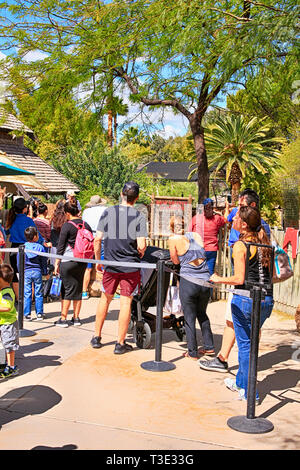 People enjoying all the attractions at Reid Park Zoo in Tucson AZ Stock ...