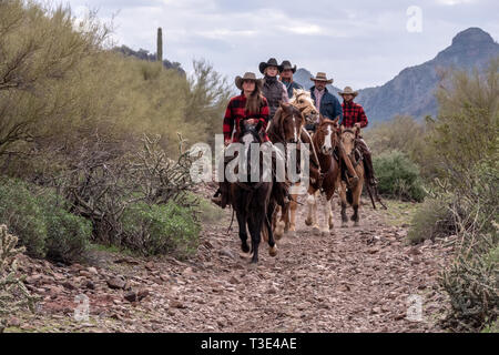 American cowboys ride their mounts in the desert scene around Wickenburg, Arizona Stock Photo