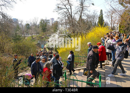 People enjoy sunny sunday and first spring blossoms at the Fomin Botanical Garden in Kyiv. It's one of the oldest botanical gardens in Ukraine Stock Photo