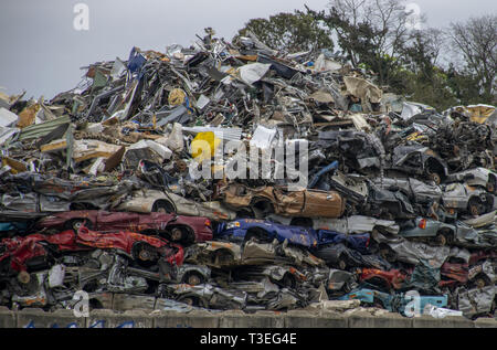 piles of wrecked cars in a junk yard Stock Photo - Alamy