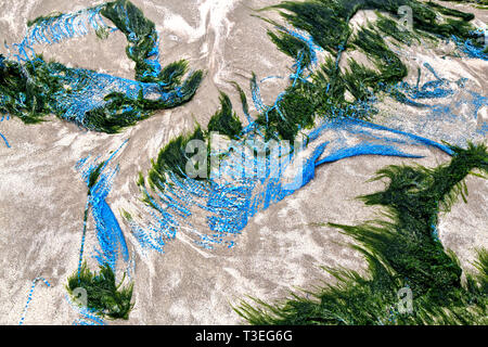 Polypropylene blue tarp washed on seashore, seaweed, Gulf Of Mexico. Stock Photo