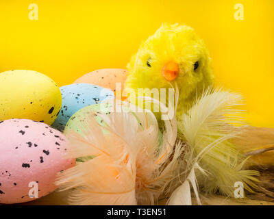 Little chick with easter eggs on yellow background Stock Photo