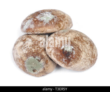 https://l450v.alamy.com/450v/t3er5y/group-of-moldy-gingerbread-cookies-isolated-on-white-background-t3er5y.jpg