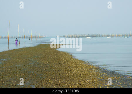 Ariake sea at low tide Stock Photo