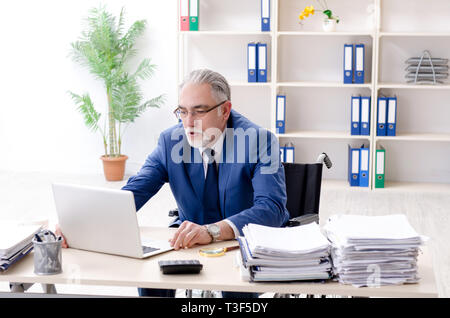 Aged employee in wheelchair working in the office Stock Photo