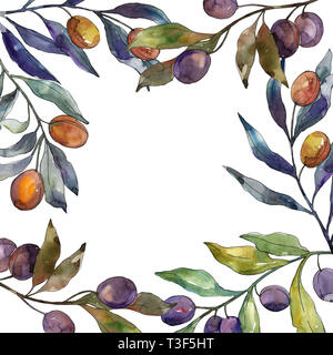 Watercolor border with green and black olive berries and branch. Hand ...