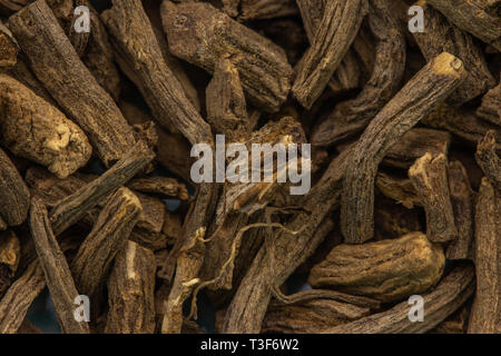 valerian root close up, healthy healing herbs Stock Photo