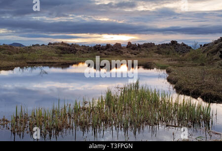 Myvatn lake at sunset - Iceland Stock Photo