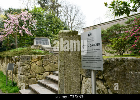 The Kyoto Japanese Garden in Holland Park, Holland Park Avenue, Kensington, London, W11, UK Stock Photo