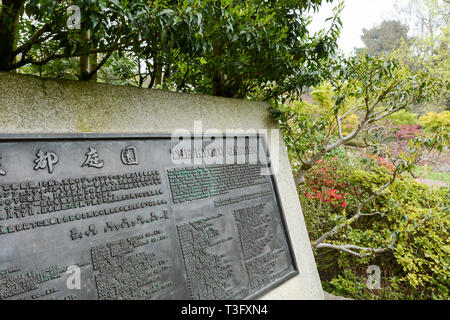 The Kyoto Japanese Garden in Holland Park, Holland Park Avenue, Kensington, London, W11, UK Stock Photo