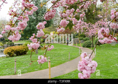 The Kyoto Japanese Garden in Holland Park, Holland Park Avenue, Kensington, London, W11, UK Stock Photo