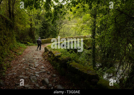 Rear view of a person hiking alone in nature at the Serra da Peneda Gerês, Minho, Northern Portugal, Europe Stock Photo