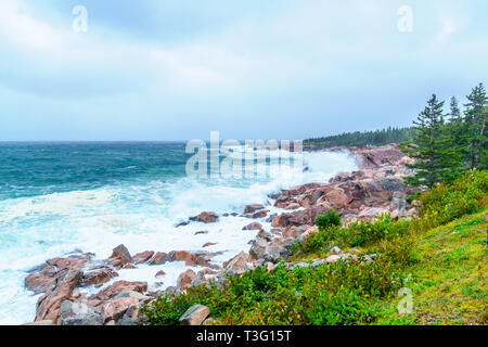 Landscape (near Lakies Head), in Cape Breton Highlands National Park, Nova Scotia, Canada Stock Photo