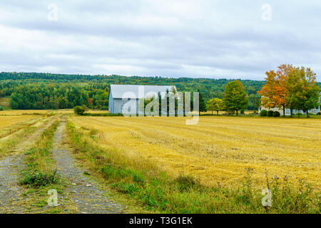 View of countryside and forest in Notre-Dame-du-Portage, Quebec, Canada Stock Photo