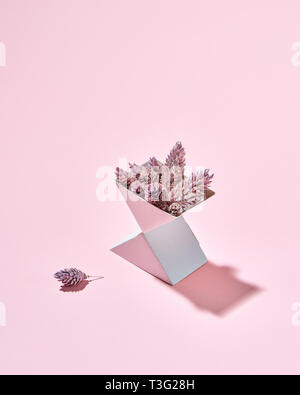 Autumn pine cones in a triangular cardboard box with reflection of shadows on a pink background and copy space. Stock Photo
