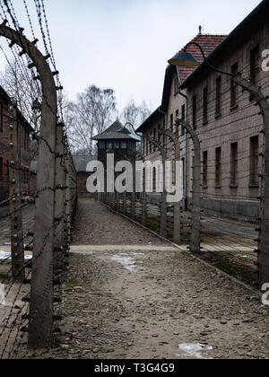 Electric fence, Auschwitz concentration camp and death camp, Poland Stock Photo