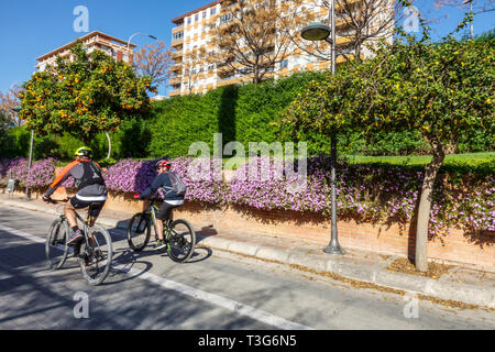 Valencia Turia Gardens, bikers ride on bike trail, Spain bicycle city Europe bike lane Jardín del Turia Stock Photo