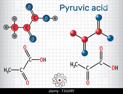 Pyruvic acid (pyruvate) molecule. It is the simplest of the alpha-keto ...