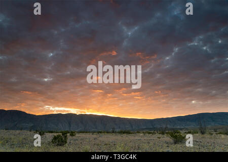 Sky over Mariscal Mountain at sunrise, Chihuahuan Desert borderland,  Talley area, Big Bend National Park, Texas, USA Stock Photo
