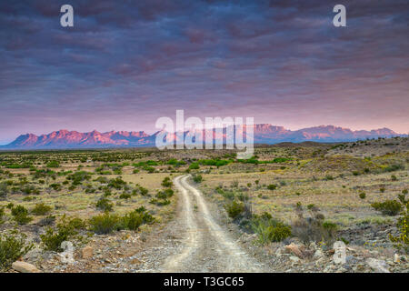 Chisos Mountains at sunrise, view from rutted Talley Road near Mariscal Canyon, Big Bend National Park, Texas, USA Stock Photo