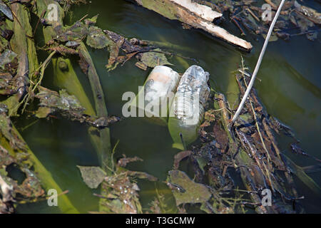 Garbage and litter in a pond Stock Photo