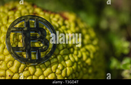 Made from black plastic custom bit coin in nature Stock Photo