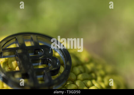 Made from black plastic custom bit coin in nature Stock Photo