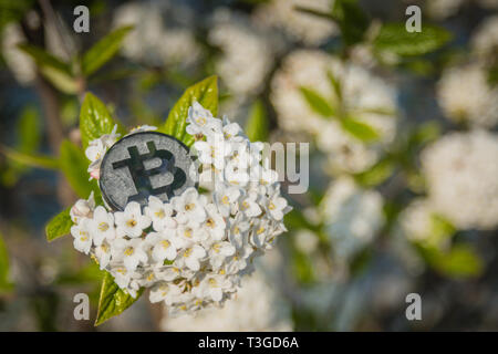Made from black plastic custom bit coin in nature Stock Photo