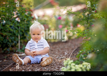 Cute little baby boy, sitting in flower garden, enjoying the flowers on sunset, summertime Stock Photo