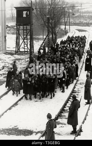 Schindler's List  Year: 1993 USA Director: Steven Spielberg Stock Photo