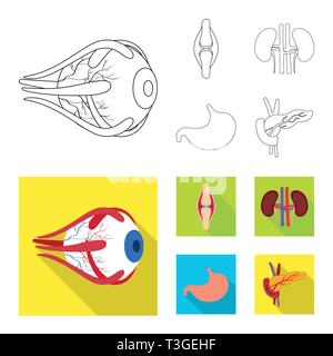 Vector design of biology and scientific logo. Set of biology and laboratory stock vector illustration. Stock Vector