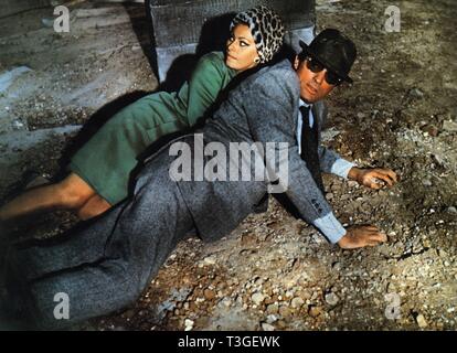 Arabesque Year: 1966 USA Gregory Peck Sophia Loren Director : Stanley ...