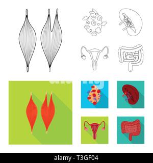 Vector design of biology and scientific logo. Collection of biology and laboratory vector icon for stock. Stock Vector
