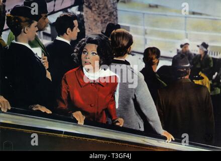 Arabesque Year : 1966 USA Director : Stanley Donen Gregory Peck, Sophia ...