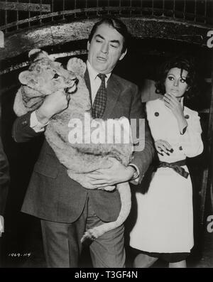 Sophia Loren and Gregory Peck on postage stamp Stock Photo - Alamy