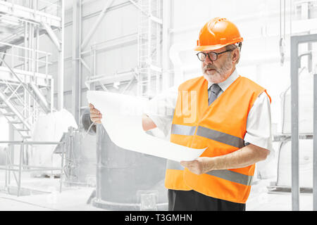The builder in a construction vest and orange helmet standing on white studio background. Safety specialist, engineer, industry, architecture, manager, occupation, businessman, job concept Stock Photo