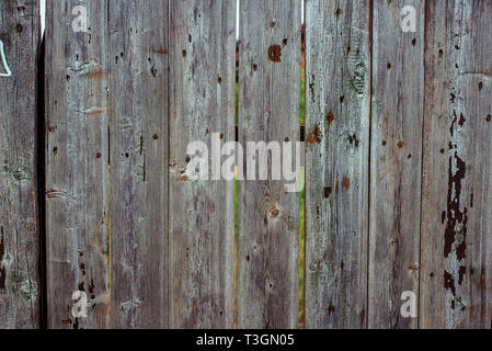 Wooden fence from rough grey planks verticaly attached, with cracked, nails and scratch. Horizontal old wood texture. Stock Photo