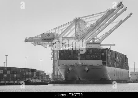 Black And White Photo Of The COSCO SHIPPING Container Ship, COSCO PORTUGAL, Moored At Pier J In The Long Beach Container Terminal, California, USA. Stock Photo